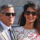 Illustration for article titled Highlights Of George Clooney’s Wedding
